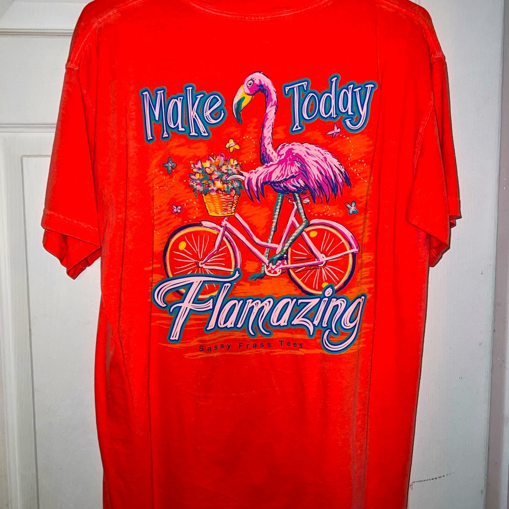 Comfort Colors Flamingo T-Shirt